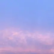 はちの画像