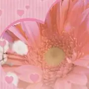 みずっち