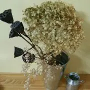 バディー