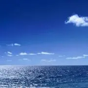 orghrk