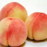 もももの画像