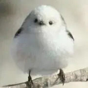 藤の画像
