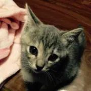 るんるん