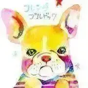 犬だワン 断捨離中　プロフ必読の画像