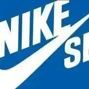 NIKESBCOLLECTORの画像