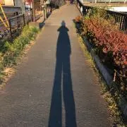 aoisaru130の画像
