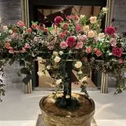 【注意】発送は6/11ですの画像