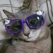 ゆっけ