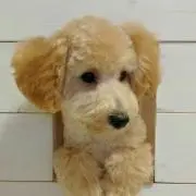 エイトマン