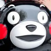 あーちゃんの画像