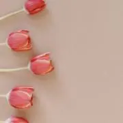 anncoの画像