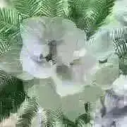 miの画像