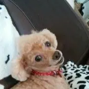 hiro