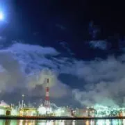 向日葵