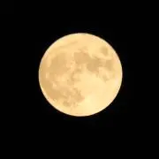アウラニの画像