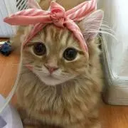 ☆大幅値下げSALE中☆の画像
