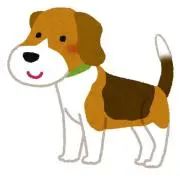 しらす