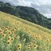 M♡値下げ不可⚠️プロフ必読⚠️の画像