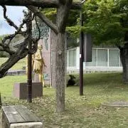 すだの画像