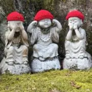 ミワの画像