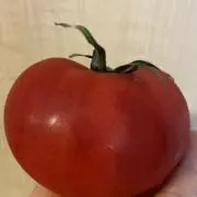 ⭐️ひかる⭐️の画像