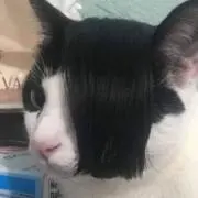 じゅの画像