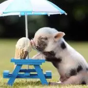 mimiの画像