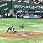 トイプーの画像