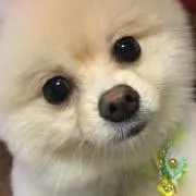 み