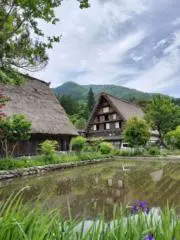 アーモンドアイの画像
