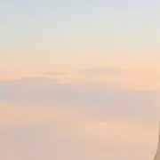 えり