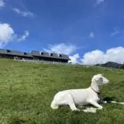 Tomo【おまとめ 即購入大歓迎】の画像