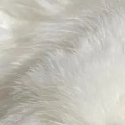 ふわの画像