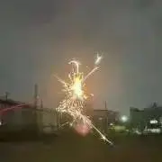 ぽんの画像