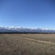 マッツーの画像