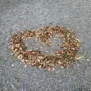 yu_u_kunの画像