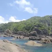 かいの丸の画像