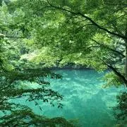 ebirio ＊プロフ必読＊の画像