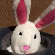 Hello