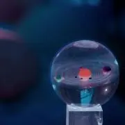 はなかっぱの画像