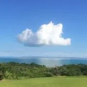 ジューンの画像