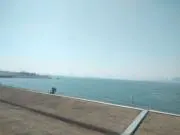 イズムの画像