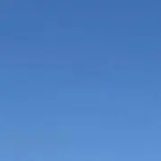 showの画像