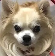 大ちゃん