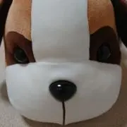 ヨーゼフの画像