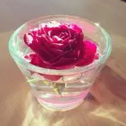 マナナ