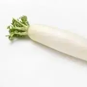 だいこんの画像