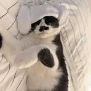 ちなみの画像
