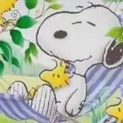 ☆maru☆即日発送☆の画像
