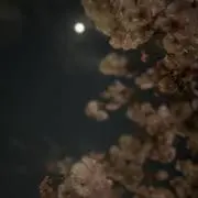 のんちゃ。の画像